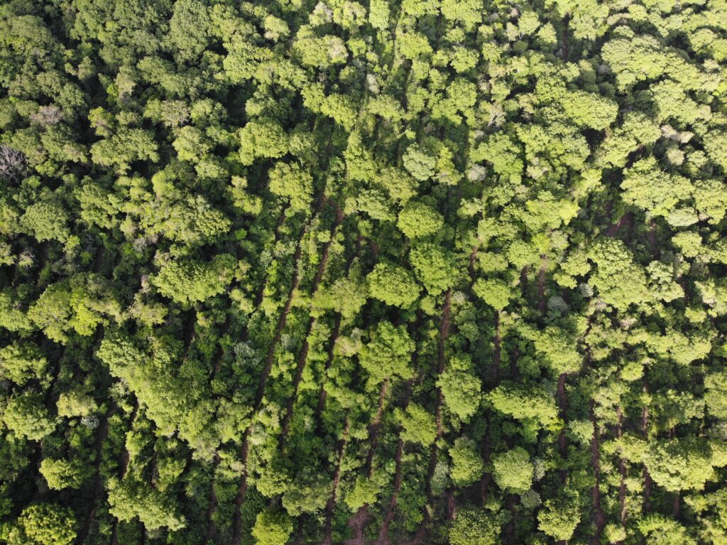 created by dji camera